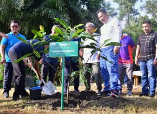 Terima Saran Pj Gubernur Sulsel, PT Vale Akan Tanam Sukun untuk Rehabilitasi Lahan Tambang