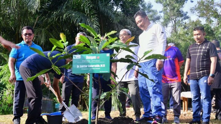 Terima Saran Pj Gubernur Sulsel, PT Vale Akan Tanam Sukun untuk Rehabilitasi Lahan Tambang Pemprov Sulsel