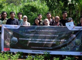 Mahasiswa Unhas Penerima Beasiswa Pertamina Foundation Tanam 100 Bibit Pohon Mahoni