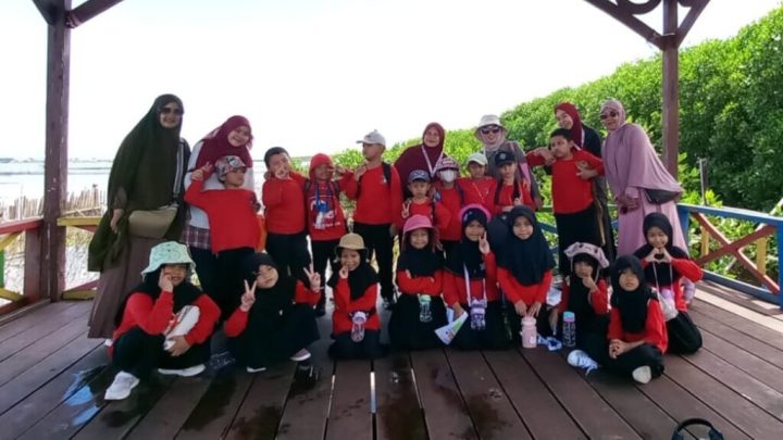 Hutan Mangrove