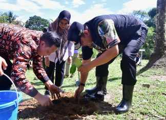 Selain Ikan Bandeng, Pangkep Diharapkan Jadi Penghasil Nangka Madu