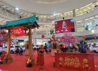 dragon warrior