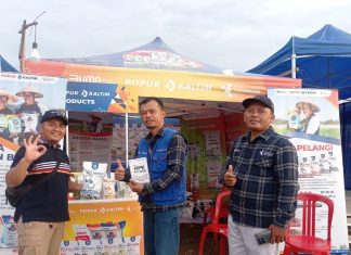 Pacu Produktivitas, Pupuk Kaltim Gencarkan Edukasi Petani di Mamuju Tengah