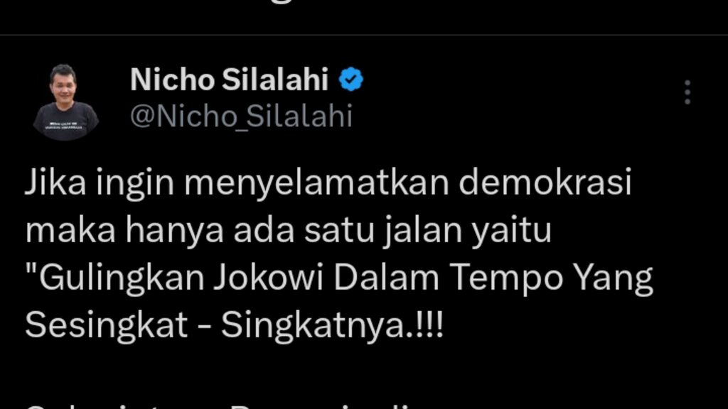 Bawaslu dan MK Disebut tidak Bisa Selesaikan Dugaan Kecurangan Pemilu, Aktivis ini Ajak Makzulkan Jokowi