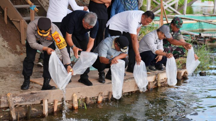 Di Pinrang, Pj Gubernur Sulsel Kunjungi Bangsal Pasca Panen, Tebar Benih Ikan dan Inseminasi Buatan Pemprov Sulsel