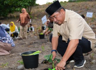 Tiba di Parepare, Pj Gubernur Sulsel Tebar Benih Udang Vaname dan Tanam Pisang Cavendish