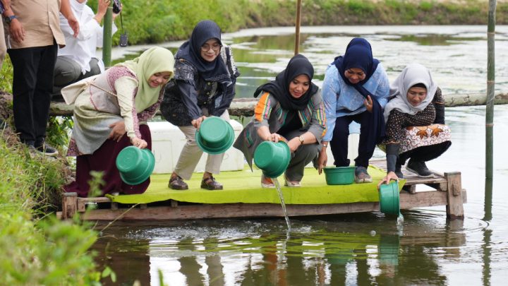 Pj Ketua PKK Sulsel Tebar Benur Udang Vaname dan Tanam Pisang Cavendish di Kota Parepare Pemprov Sulsel