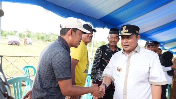 Dari Desa ke Desa, Pj Gubernur Sulsel Ajak Petani dan Peternak Manfaatkan Fasilitas KUR Pemprov Sulsel