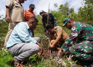 PT Vale Sinergi Pemda Lutim, Tanam Pohon di Areal Persetujuan Penggunaan Kawasan Hutan