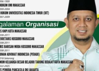 indra hamzah