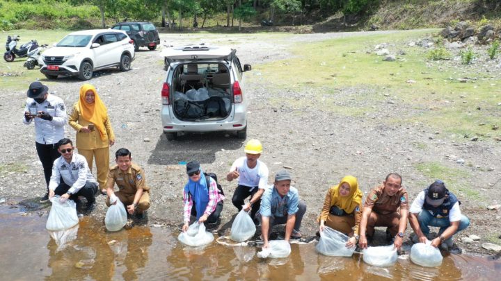 Kadis Kelautan dan Perikanan Sulsel Tebar 600 Ribu Benih Ikan di Bone Pemprov Sulsel