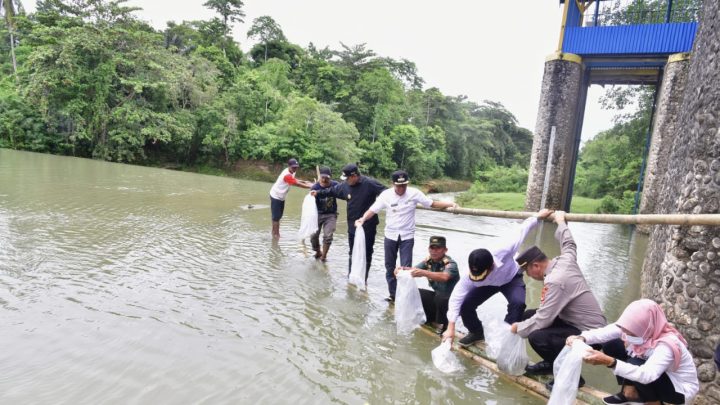 2,1 Juta Benih Ikan Air Tawar Telah Ditebar di Bone Pemprov Sulsel
