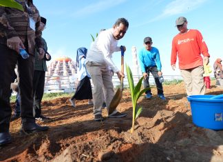 Pj Gubernur Sulsel dan Wali Kota Makassar Tanam Pohon Kelapa Genjah di CPI