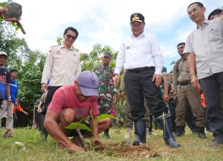 Peringatan Hari Bumi, Pj Gubernur Sulsel Ajak Masyarakat Tanam Pohon Serentak