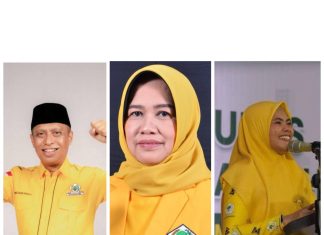Ketua DPD II Golkar