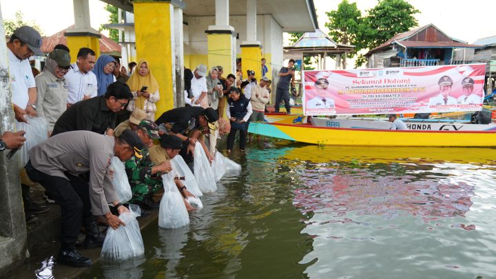 Gubernur Sulsel Tebar 160 Ribu Benih Ikan di Danau Salomate Soppeng Pemprov Sulsel