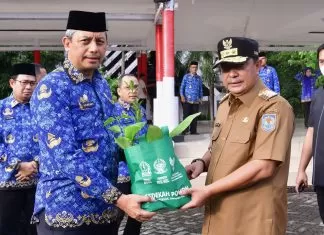 Selain Serahkan SK PPPK, Pj Gubernur Sulsel Serahkan Ribuan Bibit Pohon