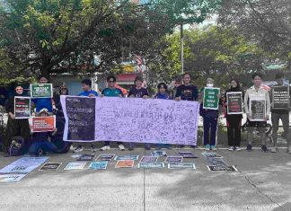 WALHI dan Green Youth Movement Soroti Dampak Tambang Nikel di Sulawesi Selatan