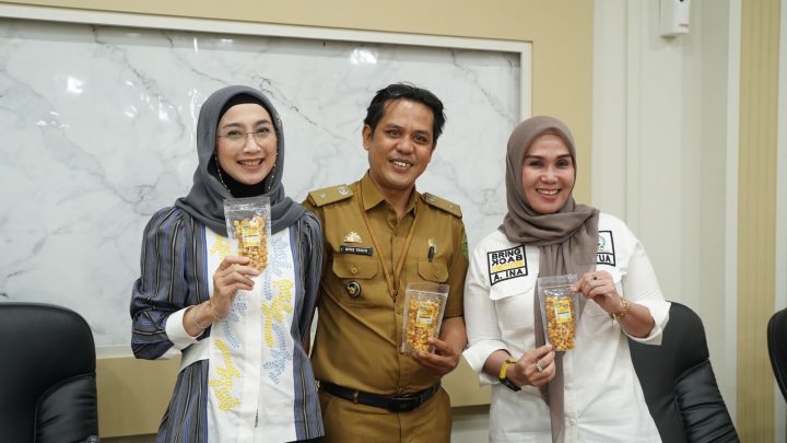 Ketua DPRD Sulsel dan Desi Ratnasari Promosikan Produk UMKM Barru DPRD Sulsel