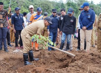 Peringati Hari Bumi, Bupati Andi Utta Tanam Pohon Produktif di Desa Tibona Bulukumba