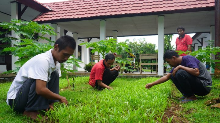 Wah, ODGJ Penerima Manfaat di Sentra Wirajaya Kementerian Sosial Dilatih Mandiri dengan Berkebun ODGJ Penerima Manfaat