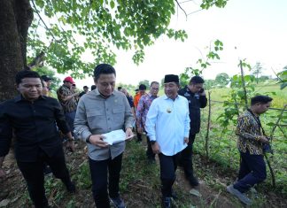 Pantau Kesiapan Lahan Rencana Pembangunan Stadion di Makassar, Wakil Ketua Komisi V DPR RI Pastikan Tahun Ini Dibangun