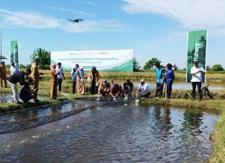 eFishery Bersama DKP Sulsel, BRPBAP dan Unido Luncurkan Proyek Budidaya Tradisional Plus dan Tanam Mangrove