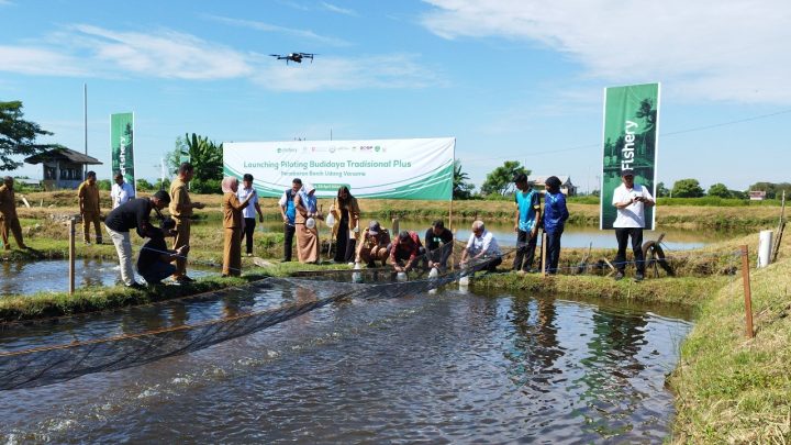 eFishery Bersama DKP Sulsel, BRPBAP dan Unido Luncurkan Proyek Budidaya Tradisional Plus dan Tanam Mangrove eFishery