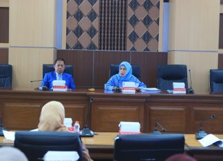 Ini Urgensi Ranperda Kesehatan Ibu dan Anak yang Sedang Digodok di DPRD Sulsel