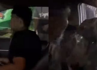 Viral, Oknum Polisi di Makassar Diduga Selingkuh dalam Mobil, Istri Sah Diseret