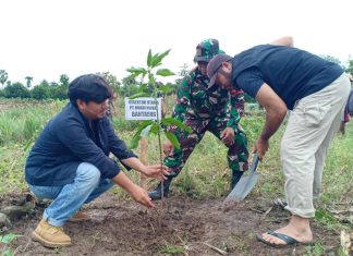Lestarikan Alam, Kodim 1410 Bantaeng Gandeng Huadi Group Tanam Pohon