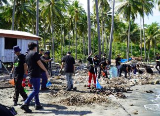 PLN Indonesia Power Laksanakan Beach Clean Up, Penanaman Mangrove dan Pelepasan Anak Penyu di Selayar