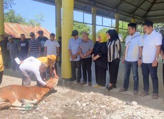 Golkar Jeneponto Qurban Dua Ekor Sapi, ini Resep Masakan Coto Bagi Masyarakat