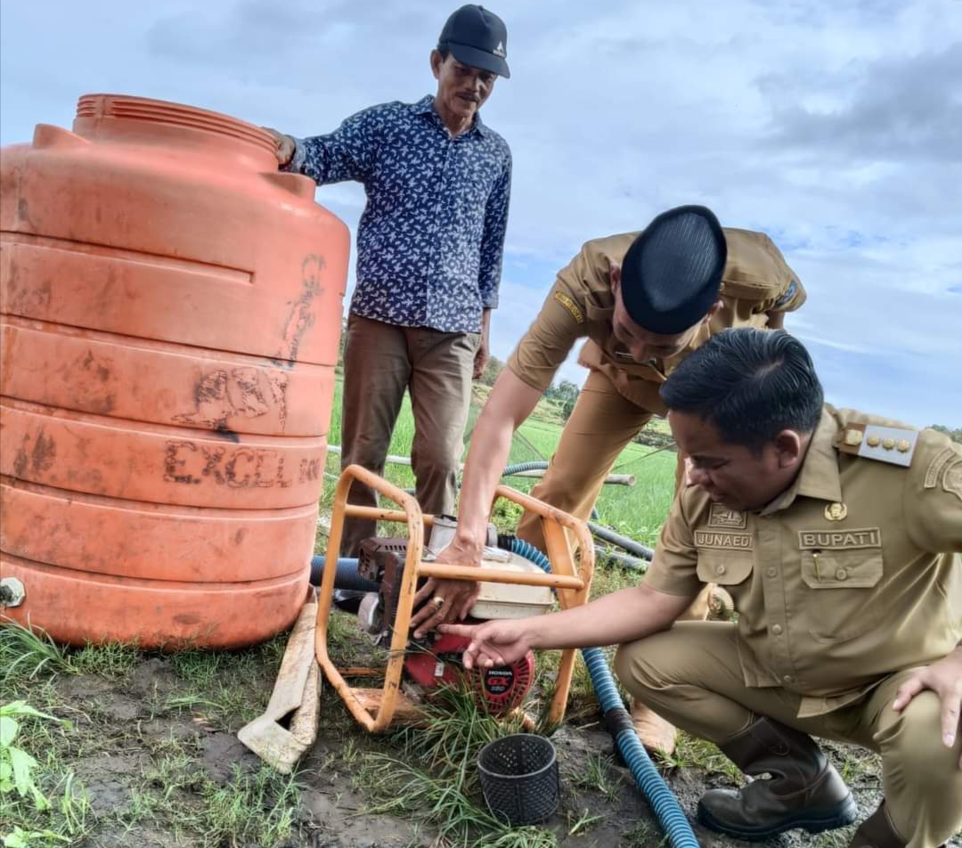 Pj Bupati Jeneponto Tinjau Penangkaran Benih Padi, Sudah Tandatangani Kouta Penambahan Pupuk 2024
