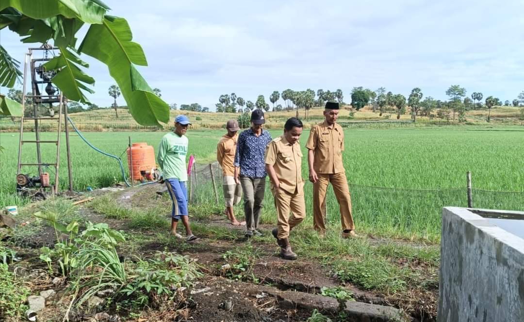Pj Bupati Jeneponto Tinjau Penangkaran Benih Padi, Sudah Tandatangani Kouta Penambahan Pupuk 2024