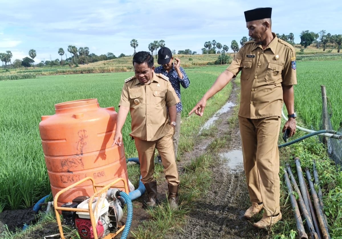 Pj Bupati Jeneponto Tinjau Penangkaran Benih Padi, Sudah Tandatangani Kouta Penambahan Pupuk 2024
