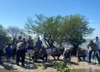 HUT Ke-78 Bhayangkara, Pemkab dan Polres Jeneponto Tanam Bibit Pohon Mangrove