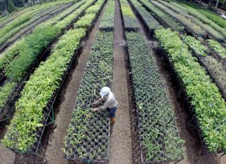 PT Vale Jawab Aksi Protes WALHI: Biodiversitas Hutan Tanamalia Harus Dijaga Bersama