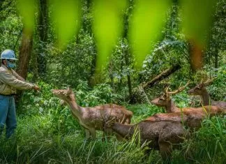 Vale Rilis Laporan Keberlanjutan 2023, Lanjutkan Operasi dengan Tanggung Jawab