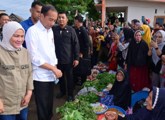 Hari Kedua Kunker di Bulukumba, Presiden Jokowi Blusukan ke Rumah Sakit hingga Pasar
