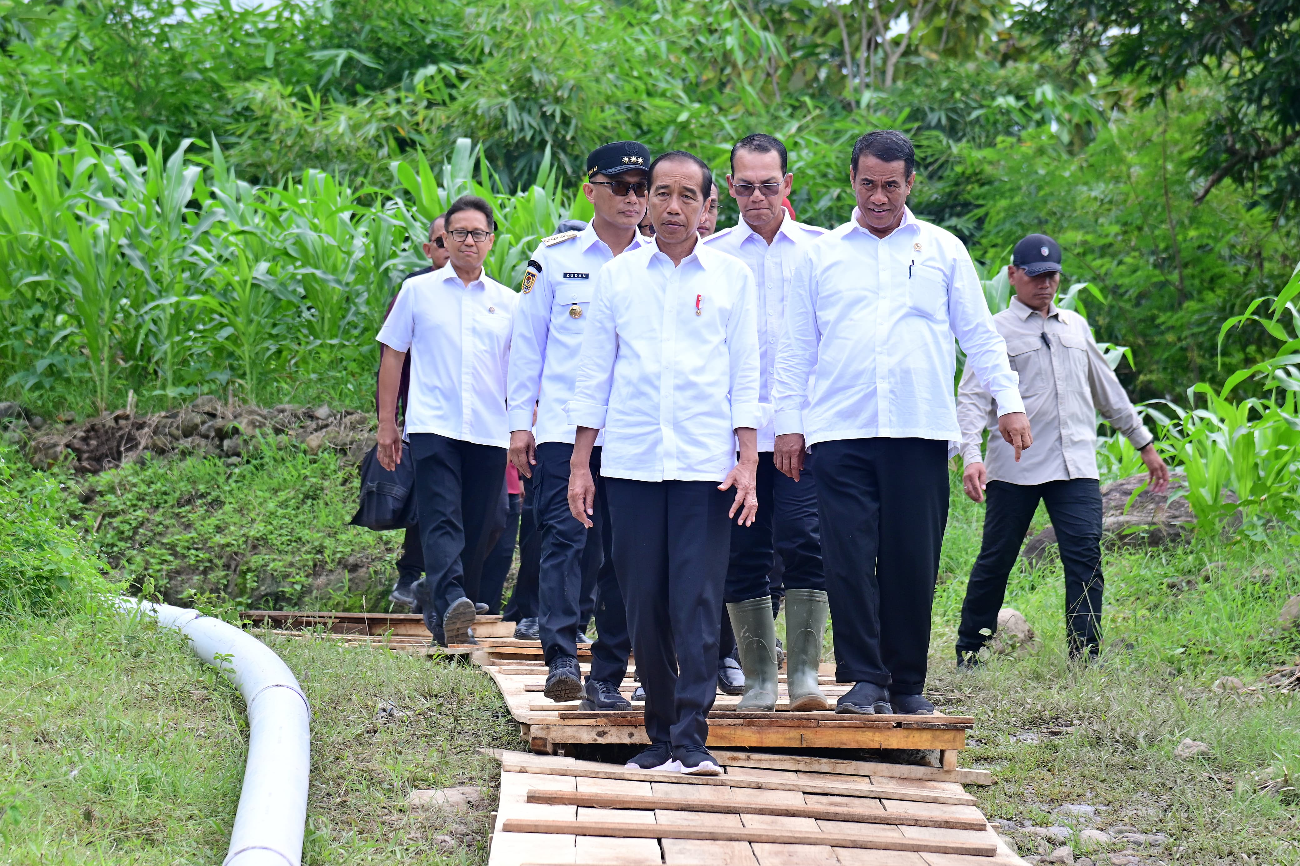 Presiden Jokowi dan Mentan Optimis Produksi Beras Nasional Meningkat