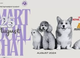 Sahabat Satwa Celebes Akan Gelar Event Eksklusif 'Smart Social Chat', Ada Edukasi Kesehatan Hewan hingga Hadiah