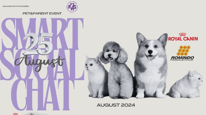 Sahabat Satwa Celebes Akan Gelar Event Eksklusif 'Smart Social Chat', Ada Edukasi Kesehatan Hewan hingga Hadiah sahabat satwa celebes