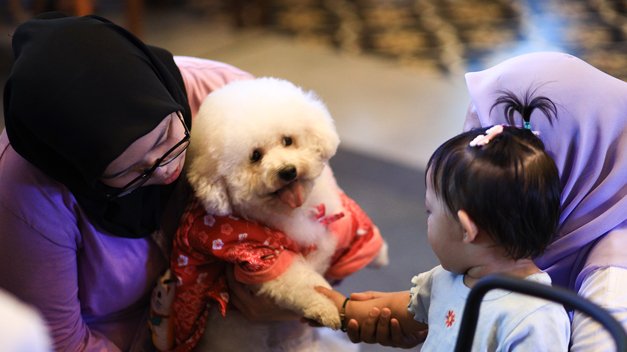 ‘Smart Social Chat’ Sukses Menghubungkan Klinik Hewan dengan Para Pet Owner