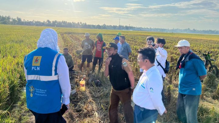 Listrik Hijau dari PLN Sukses Tekan Biaya Operasional Petani di Sulsel Hingga 83 Persen listrik hijau