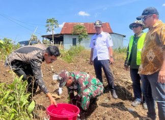 Tingkatkan Perekonomian, Satgas TMMD ke-122 Kodim 1425 Jeneponto Tanam 300 Pohon Sukun
