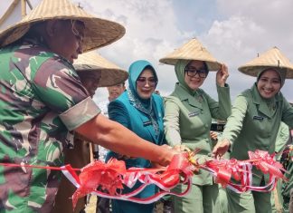 Pangdam XIV
