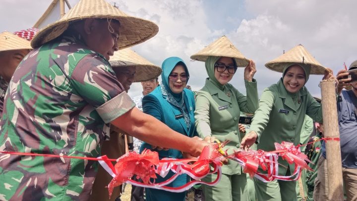 Pangdam XIV Hasanuddin Resmikan Sumur Bor TMMD ke-122 dan Tanam Padi di Jeneponto Pangdam XIV