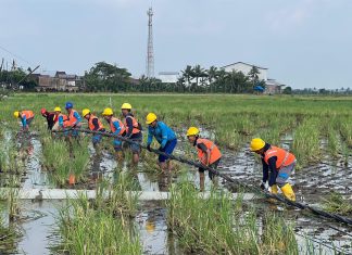 PLN Hadir untuk Korban Bencana di Sidrap pada Momen Hari Pahlawan