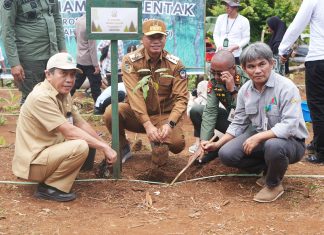 Program Agroforestry untuk Swasembada Pangan Nasional, Solusi Hentikan Impor Beras